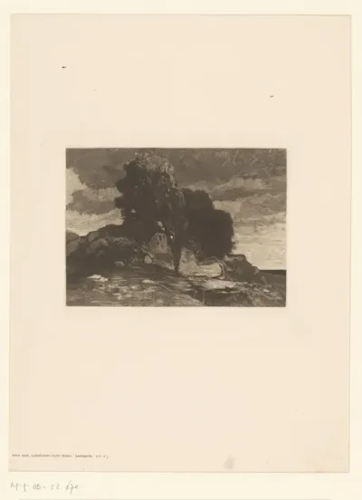 Landschap met bomen en rotsen