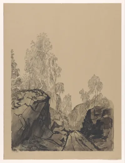 Landschap met bomen en rotsen
