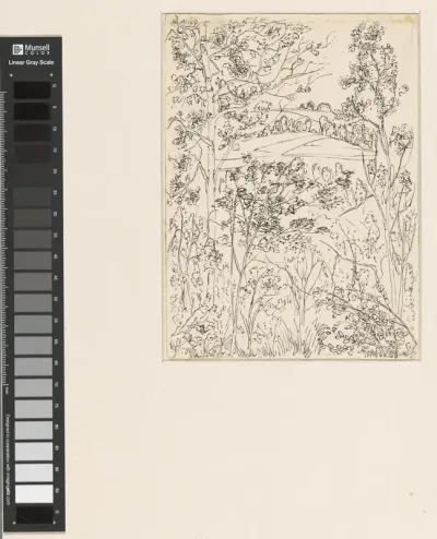 Landschap met bomen en struiken