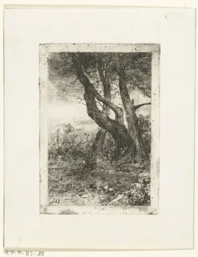 Landschap met bomen en vijver met eenden