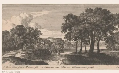 Landschap met bomen en water