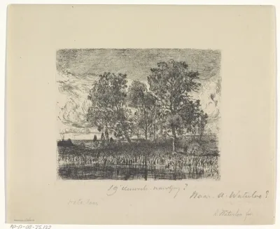 Landschap met bomen en water