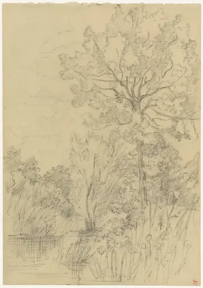 Landschap met bomen en water
