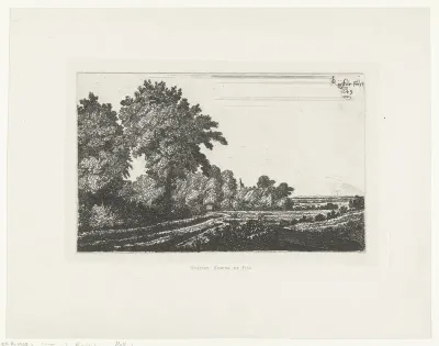 Landschap met bomen en weilanden
