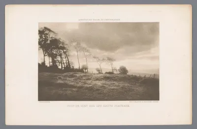 Landschap met bomen in de wind