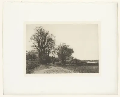 Landschap met bomen in Norfolk
