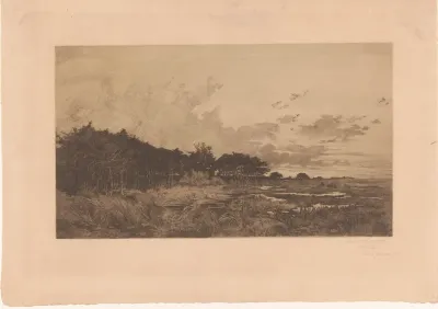 Landschap met bomen langs een moeras