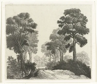 Landschap met bomen langs een pad