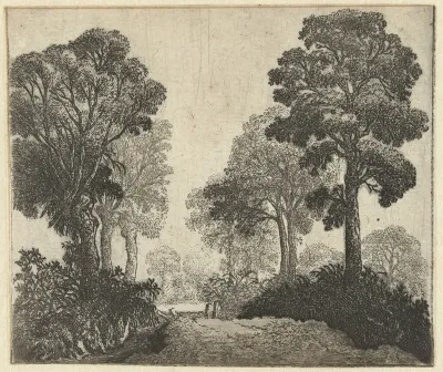 Landschap met bomen langs een pad