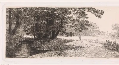Landschap met bomen langs het water