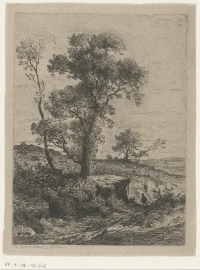 Landschap met bomen op een rots naast een pad