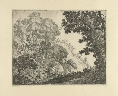 Landschap met bomen op rotsen en man met opgeheven arm