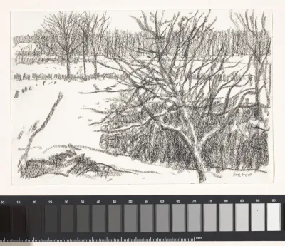 Landschap met bomen zonder blad