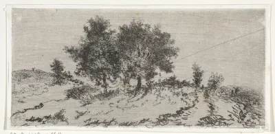 Landschap met bomengroep