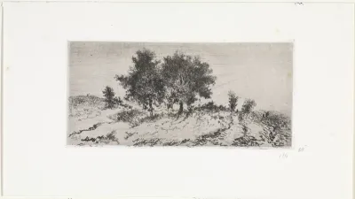Landschap met bomengroep
