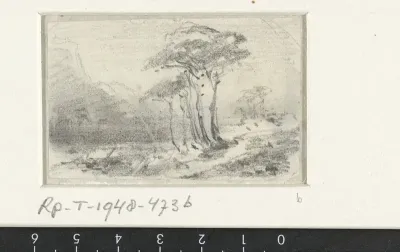 Landschap met bomengroep