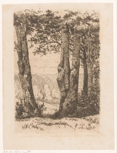 Landschap met bomenrij