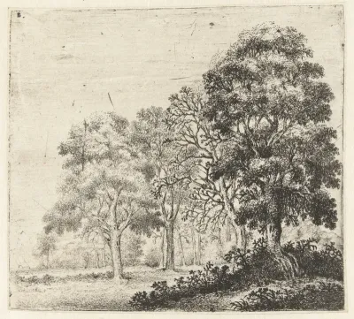 Landschap met boom