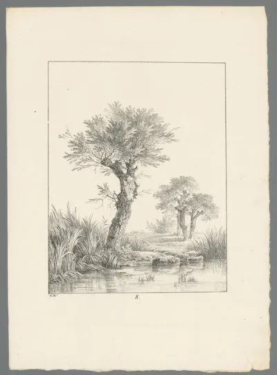 Landschap met boom aan het water