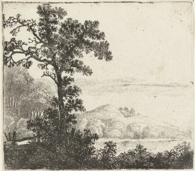 Landschap met boom bij een rivieroever