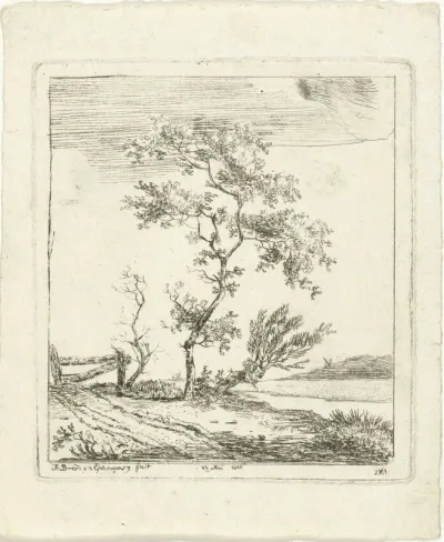 Landschap met boom bij een water