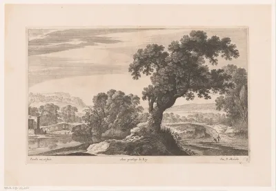 Landschap met boom bij meer