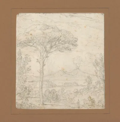 Landschap met boom en in de verte een rokende vulkaan