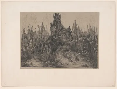 Landschap met boom en planten