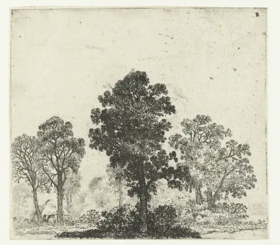 Landschap met boom in het midden