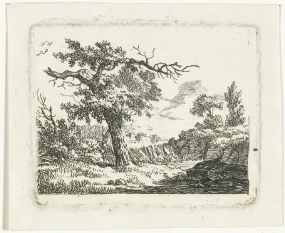 Landschap met boom met twee dode takken