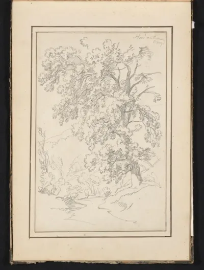 Landschap met boom te Roccantica