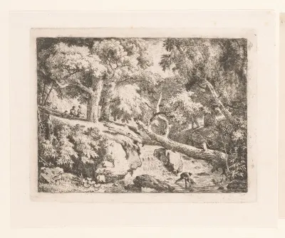 Landschap met boomstam over een waterval