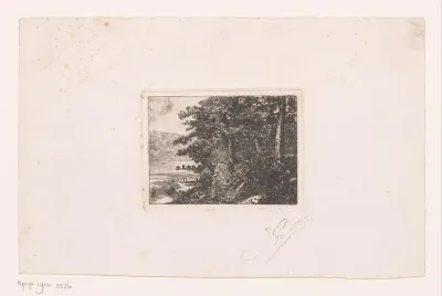 Landschap met bos aan de rand van een meer