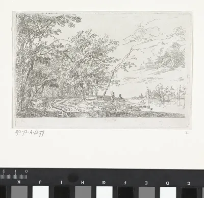 Landschap met bos en rivier