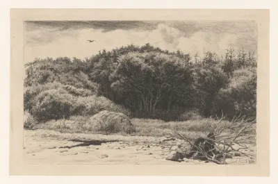 Landschap met bosrand