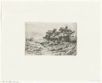 Landschap met bossage