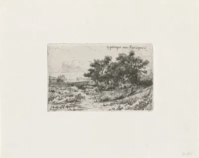 Landschap met bossage