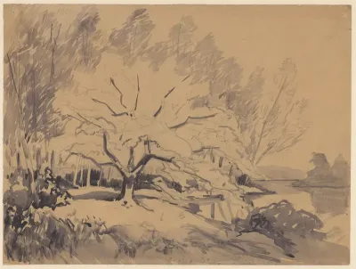 Landschap met brede boom in het midden, rechts een vijver