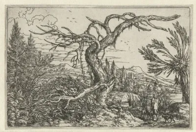 Landschap met de dorre boom