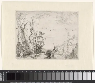 Landschap met dode boom