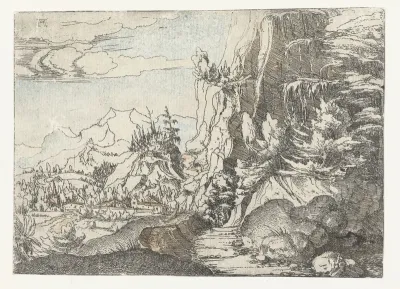 Landschap met donkere rotswand