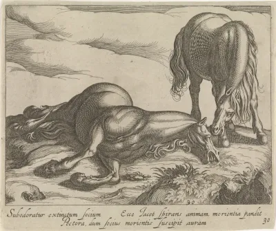 Landschap met dood paard