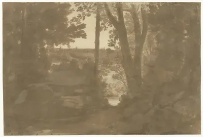 Landschap met doorkijk door bomen
