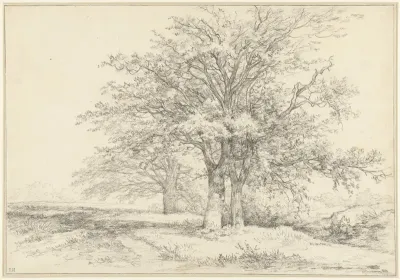 Landschap met drie bomen