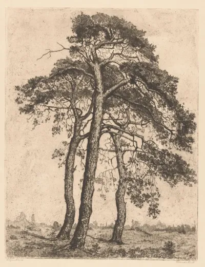 Landschap met drie dennen