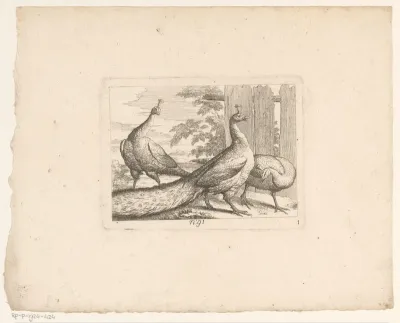 Landschap met drie pauwen