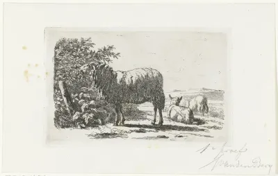 Landschap met drie schapen
