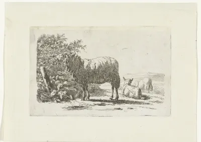 Landschap met drie schapen