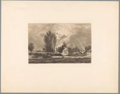 Landschap met drinkende en grazende koeien