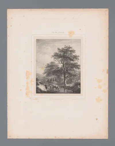 Landschap met drinkende koe